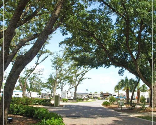 11716_802916123149540_2723607210072879930_n