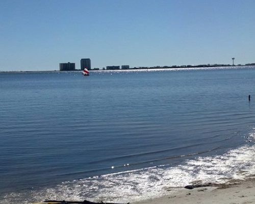 11794201_852180888223063_8895600790490068057_o