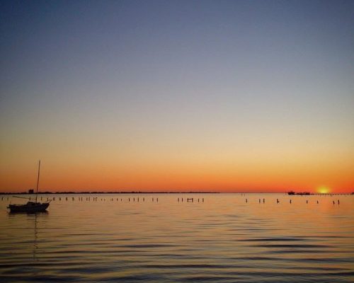 1506824_814530158654803_2017992651850124639_n