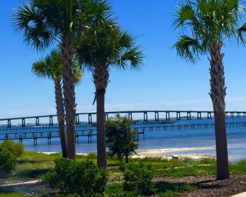 47378804_1996811353760005_7714783551731793920_n