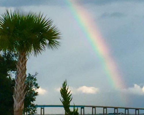 FB_IMG_1663880466589