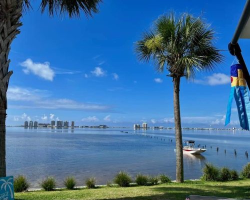 FB_IMG_1675731868498