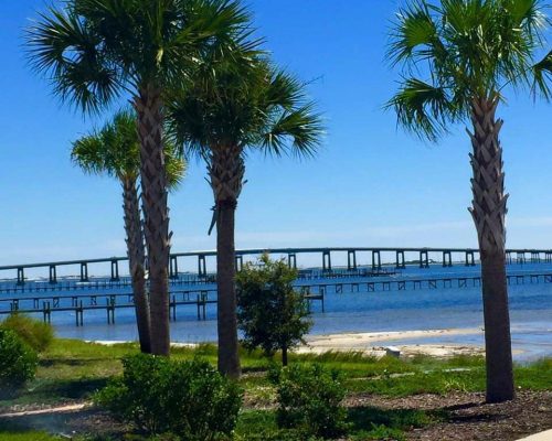 IMG_20201107_091015_139